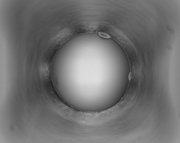 X0000112820037200908211215