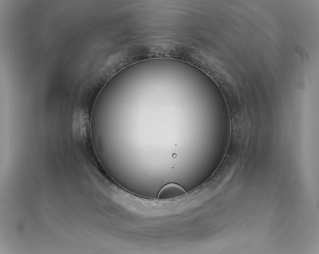 X0000112820038200908211215