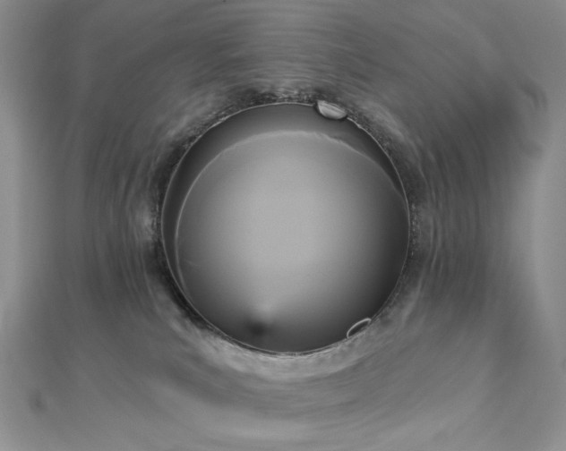 X0000112820039200908211215