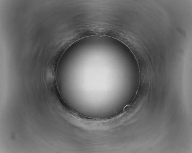 X0000112820040200908211215