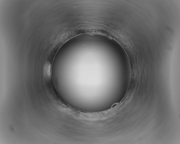 X0000112820041200908211215