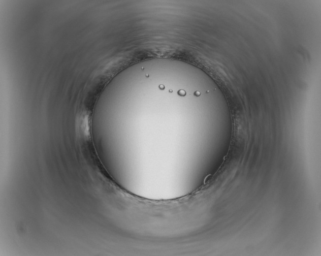 X0000112820042200908211215