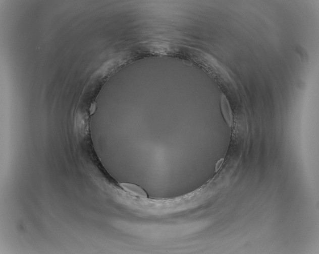 X0000112820043200908211215