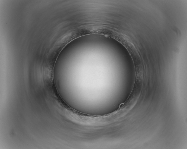 X0000112820044200908211215