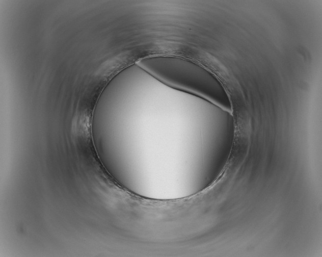 X0000112820045200908211215