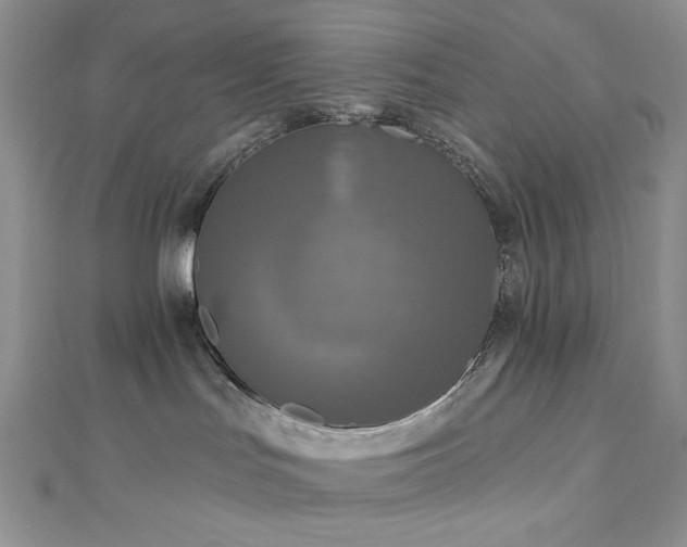 X0000112820047200908211215