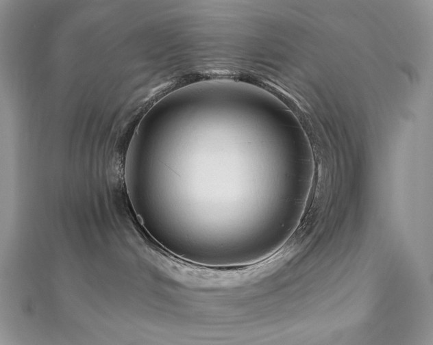 X0000112820048200908211215