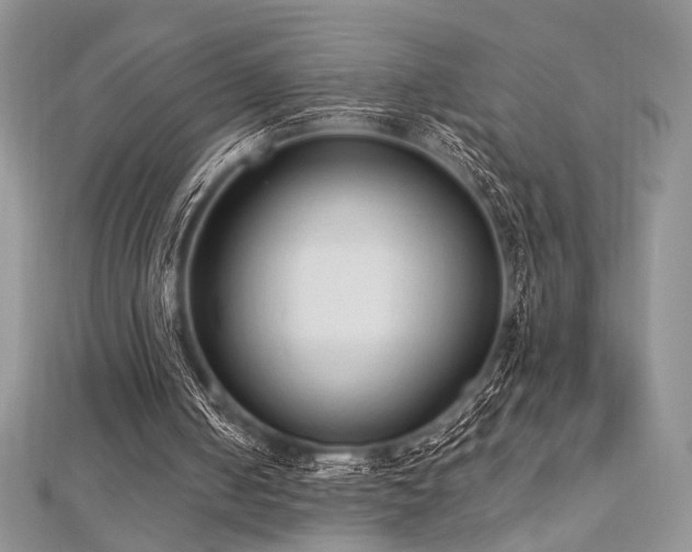 X0000112820050200908211214