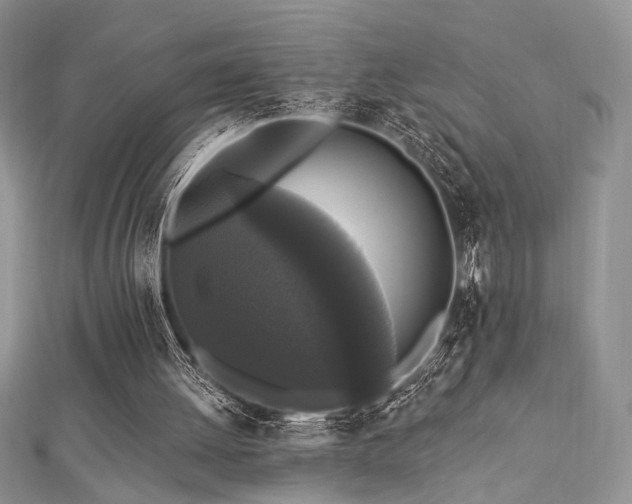 X0000112820052200908211214