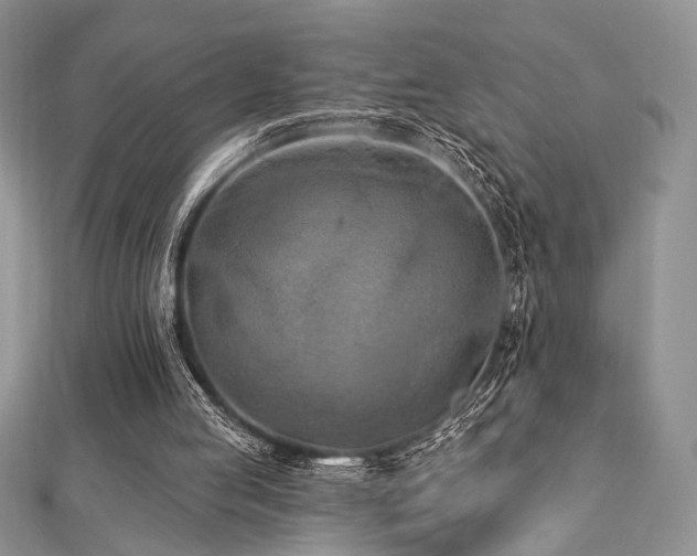 X0000112820053200908211214