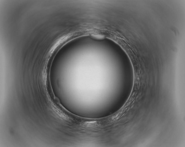 X0000112820054200908211214