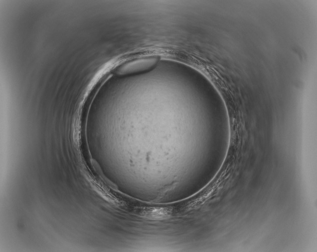 X0000112820056200908211214