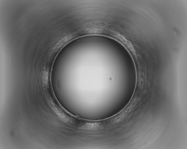 X0000112820057200908211214