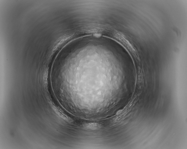 X0000112820058200908211214