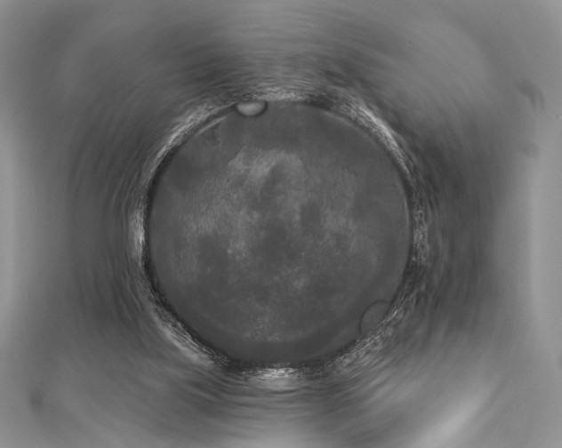 X0000112820059200908211214