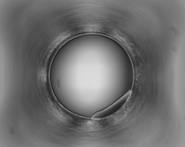 X0000112820060200908211214