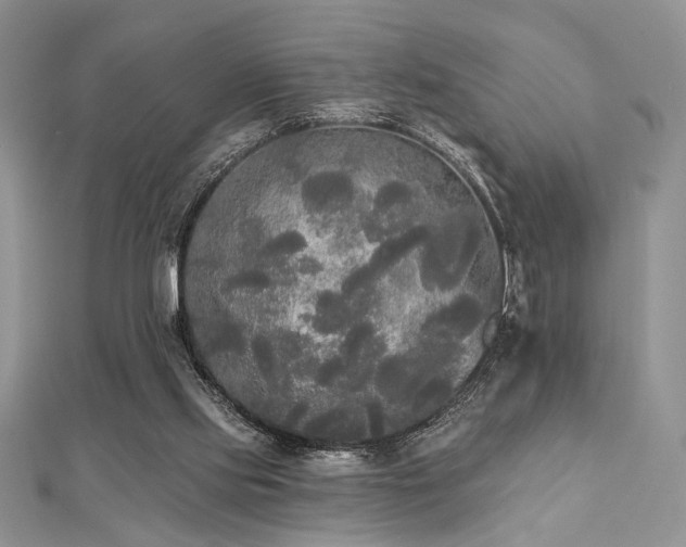 X0000112820061200908211214