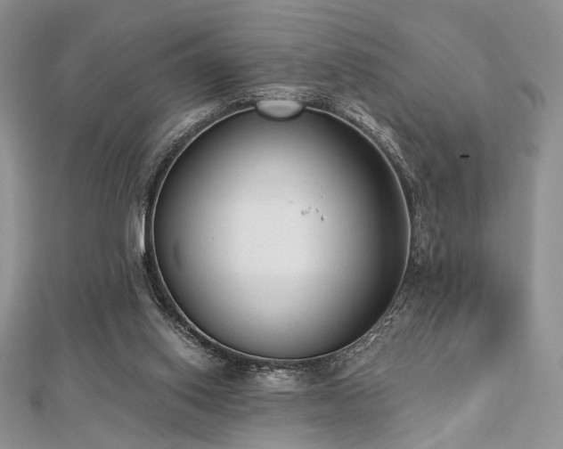 X0000112820062200908211214
