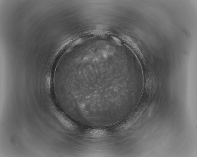 X0000112820063200908211214