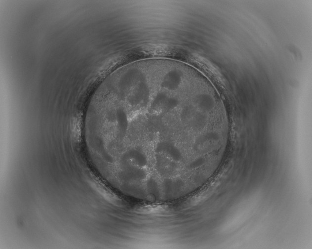 X0000112820065200908211214