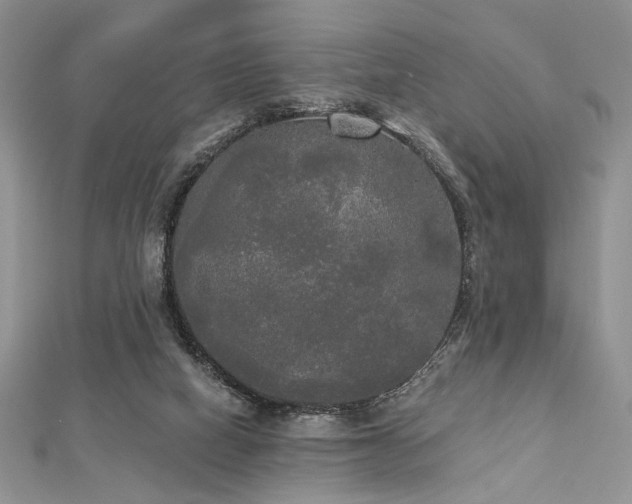 X0000112820066200908211215