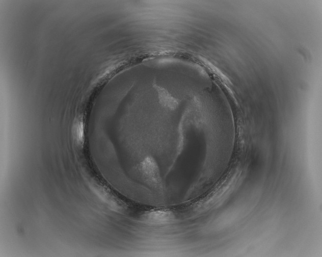 X0000112820067200908211215