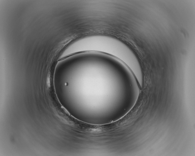 X0000112820068200908211215