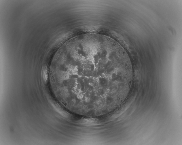 X0000112820069200908211215