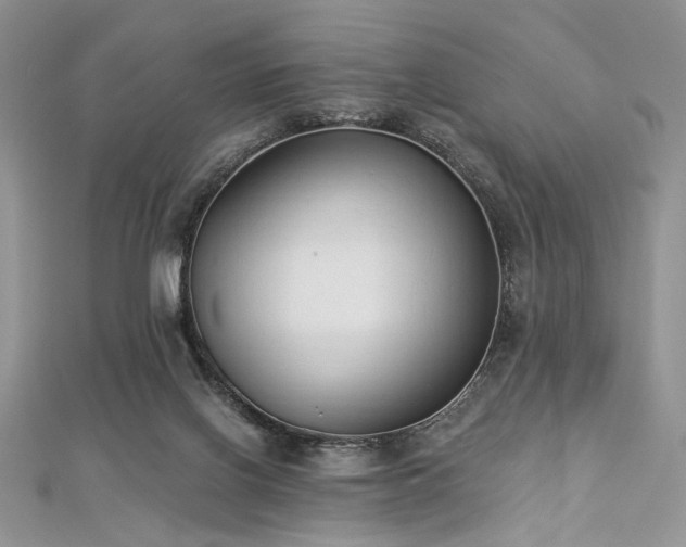 X0000112820070200908211215
