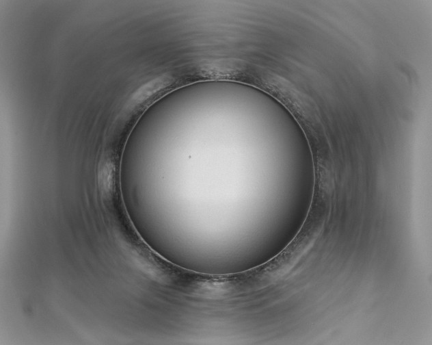 X0000112820071200908211215