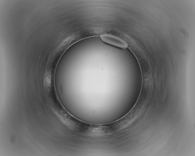 X0000112820072200908211215