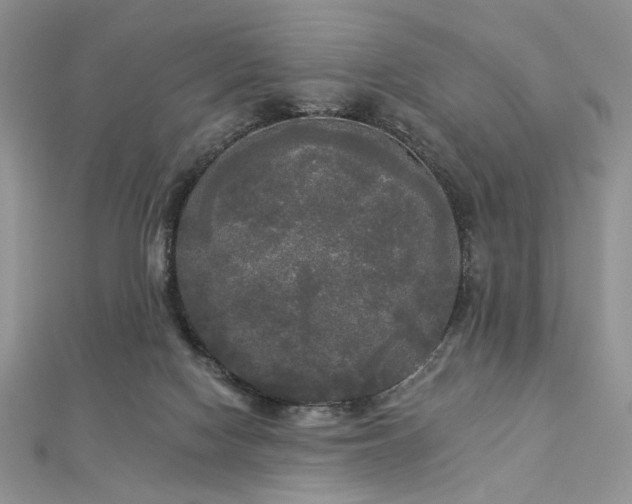 X0000112820074200908211215