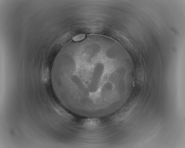 X0000112820077200908211215