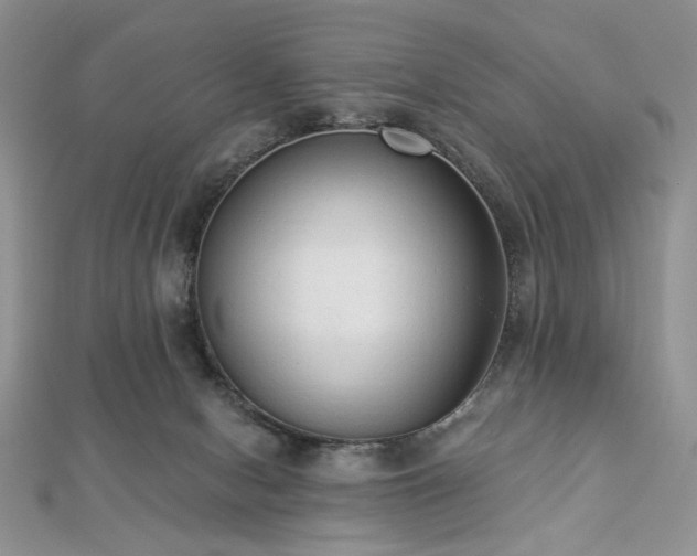 X0000112820078200908211215