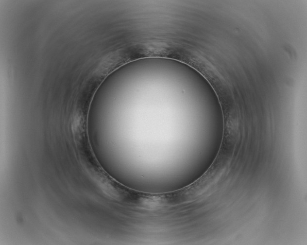 X0000112820079200908211215