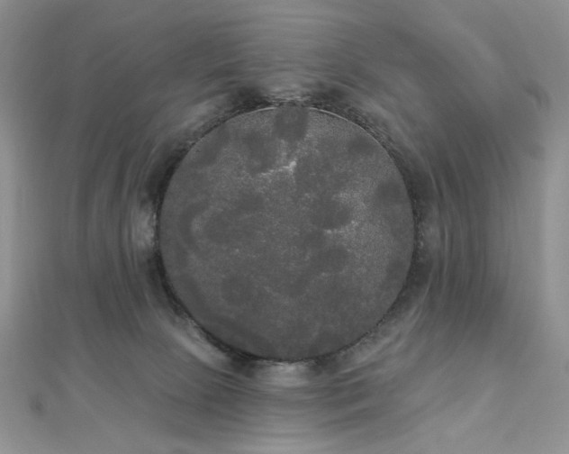 X0000112820081200908211215