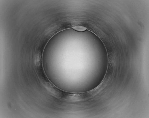 X0000112820082200908211215