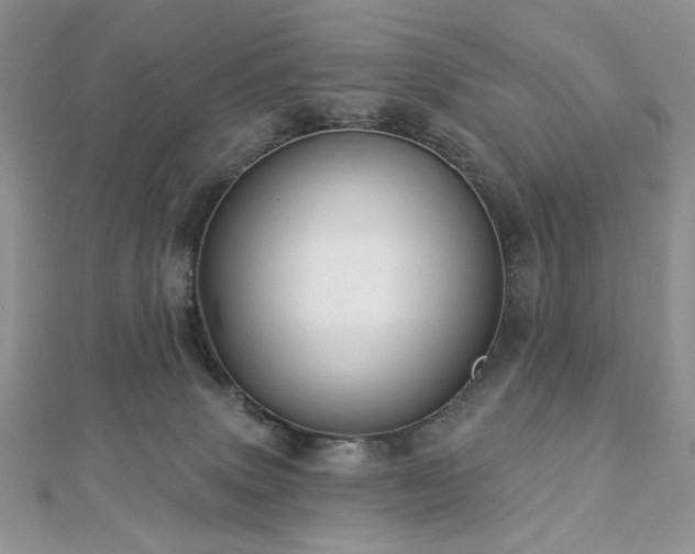 X0000112820083200908211215