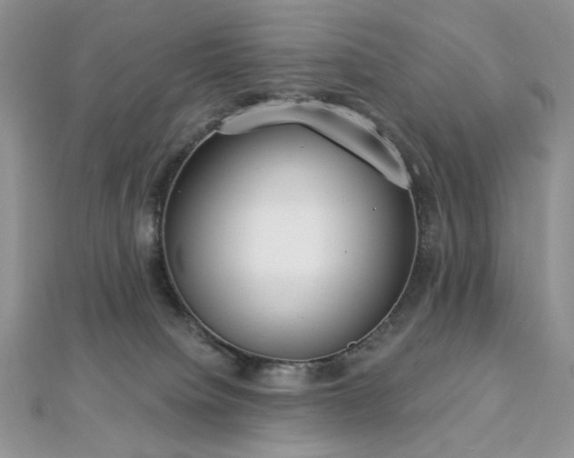 X0000112820084200908211215