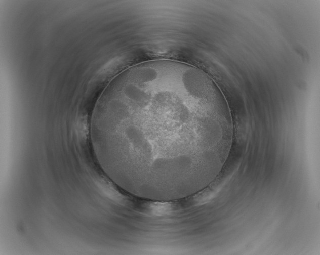 X0000112820085200908211215