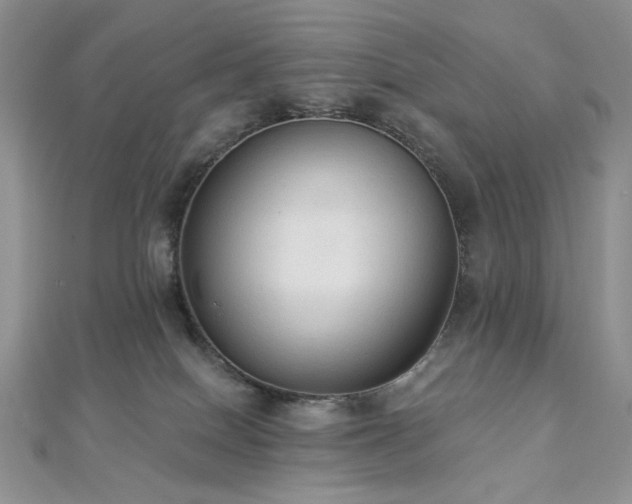 X0000112820086200908211215