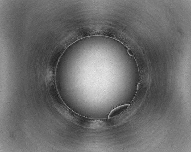 X0000112820087200908211215