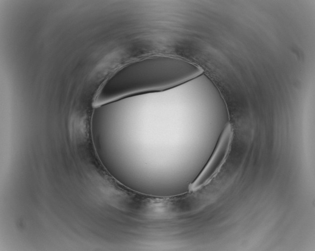 X0000112820088200908211215