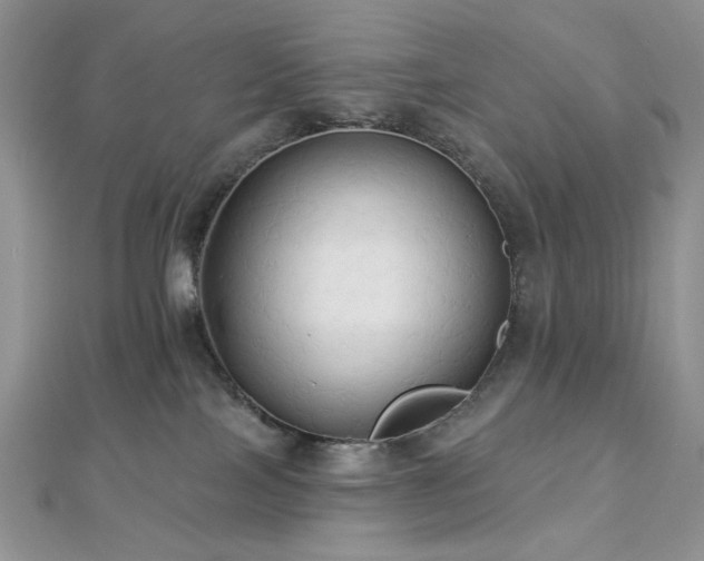 X0000112820089200908211215