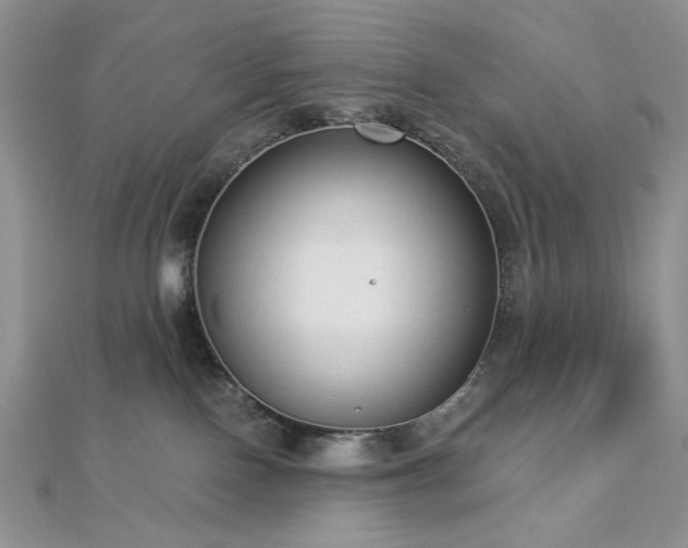 X0000112820090200908211215