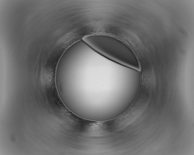 X0000112820092200908211215