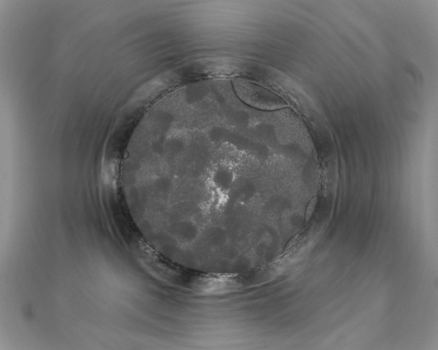 X0000112820093200908211215