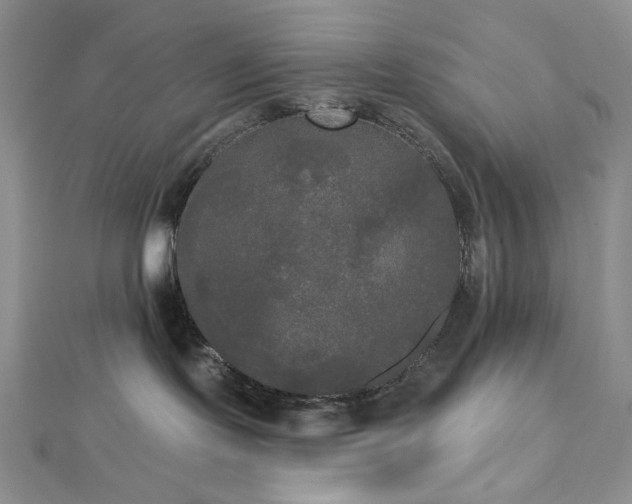 X0000112820095200908211215