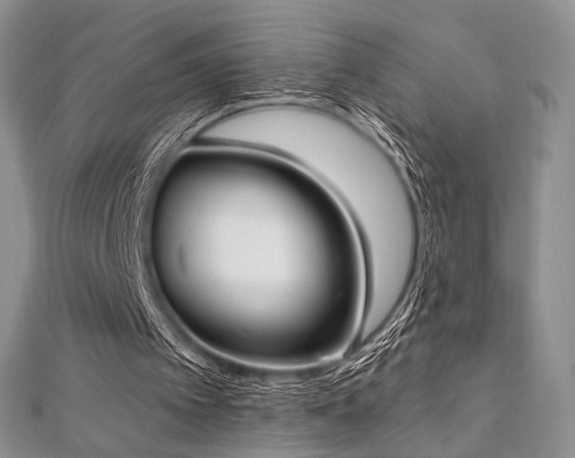 X0000112820097200908211214