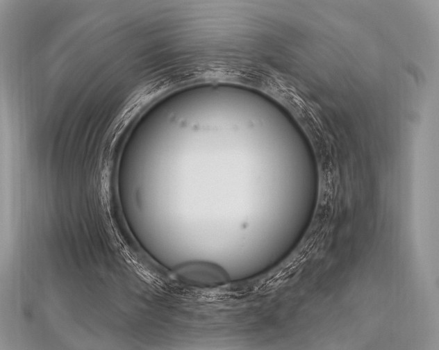 X0000112820098200908211214